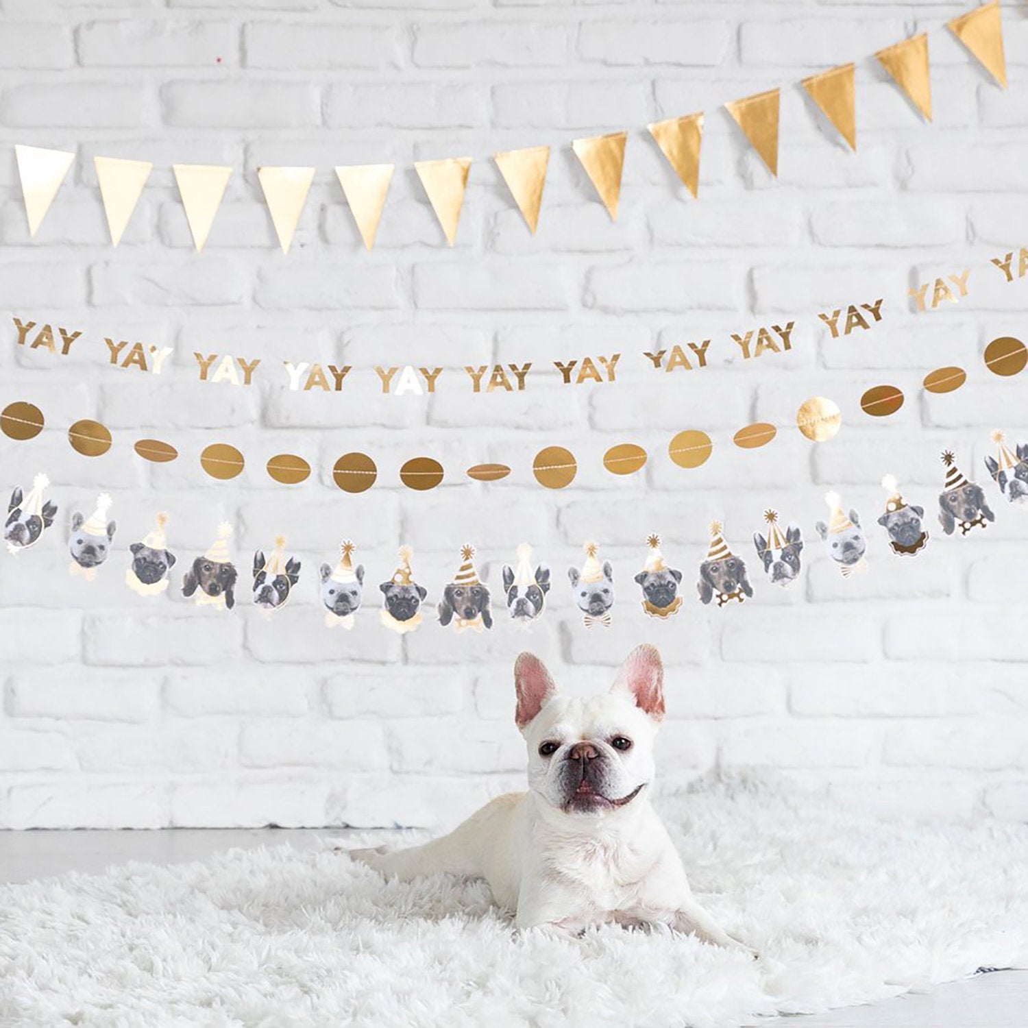 Dog Party Banner - the-parties-that-pop