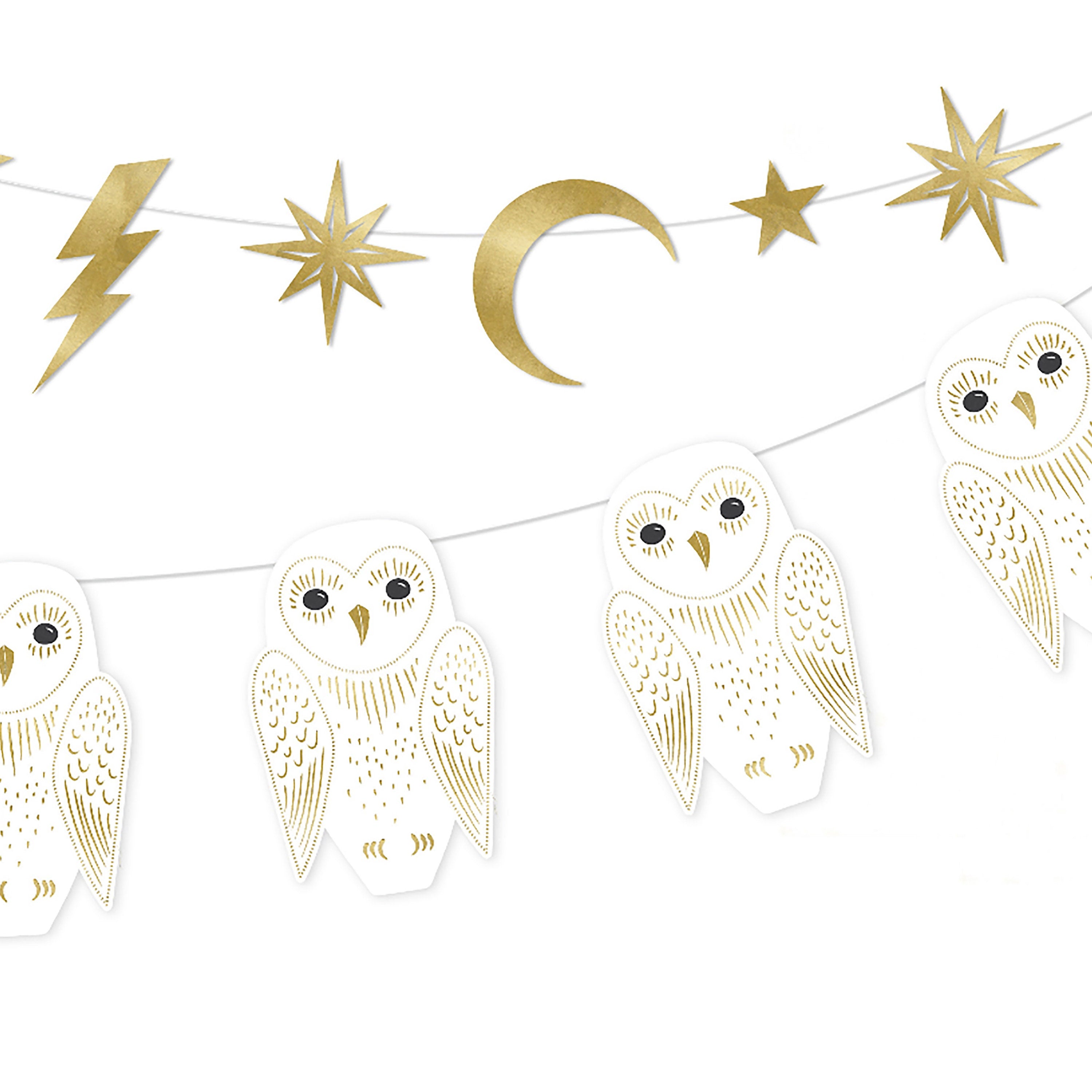Wizard Party Decorations |  Wizard Birthday - Hocus Pocus Birthday - Witch Theme Party - Owl Wizard - Owl, Moon, Stars & Bolt